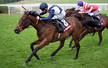 Trillium is owned and bred by the Keswick family's Rockcliffe Stud