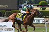 Classic Causeway wins the 2022 Caesars Belmont Derby Invitational Stakes at Belmont Park