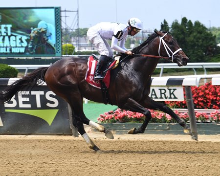 Life Is Good wins the John A. Nerud Strakes at Belmont Park