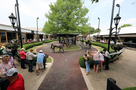 Catalog for Fasig-Tipton July Sale Available Online - Vimarsana News