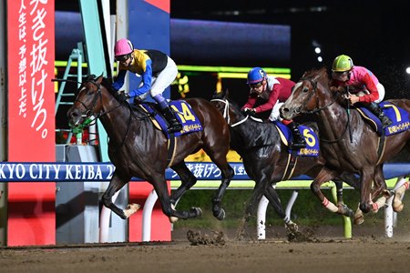 Notturno wins the Japan Dirt Derby at Oi Racecourse