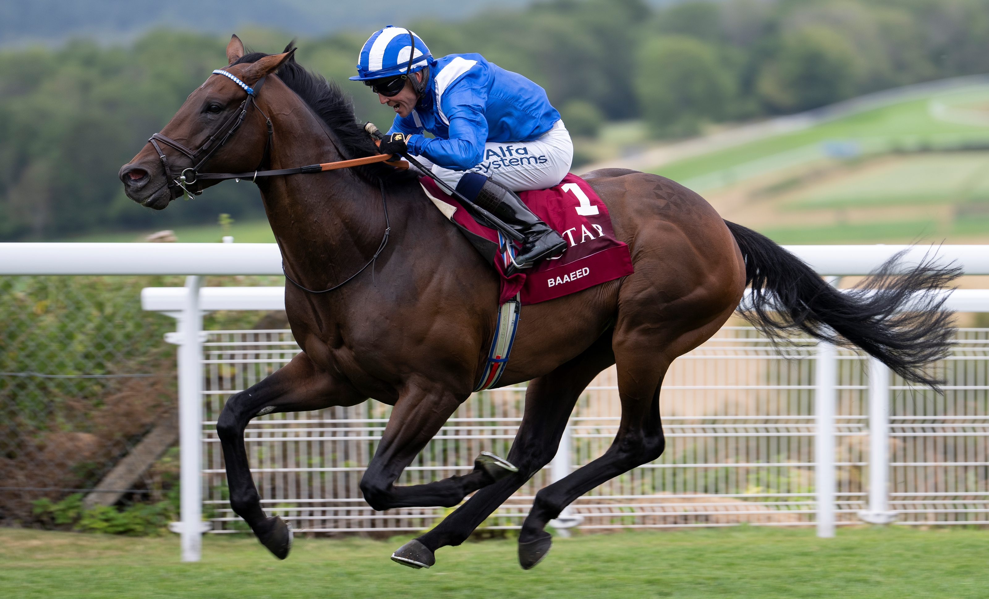 Baaeed Crowned 2022 Cartier Horse of the Year BloodHorse