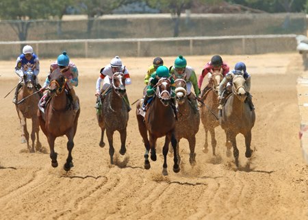 More Than 20 Stakes Make Up 2024 Lone Star Calendar BloodHorse More Than 20 Stakes Make Up 2024 Lone Star Calendar BloodHorse
