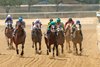 Free Drop Maddy wins the Texas Thoroughbred Association Futurity Sunday, July 17, 2022 at Lone Star Park