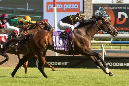 Bound for Nowhere wins the Highlander Stakes at Woodbine