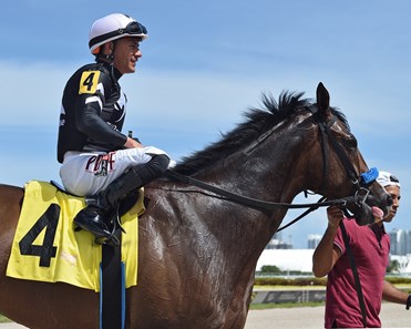 Carrothers - Horse Profile - BloodHorse