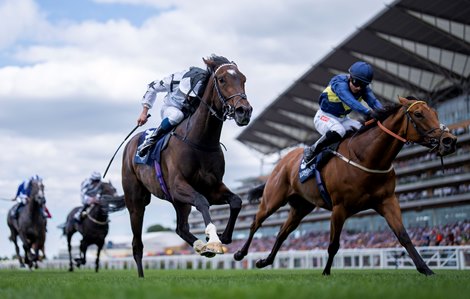 Leaders Call for Radical Changes to British Racing - BloodHorse