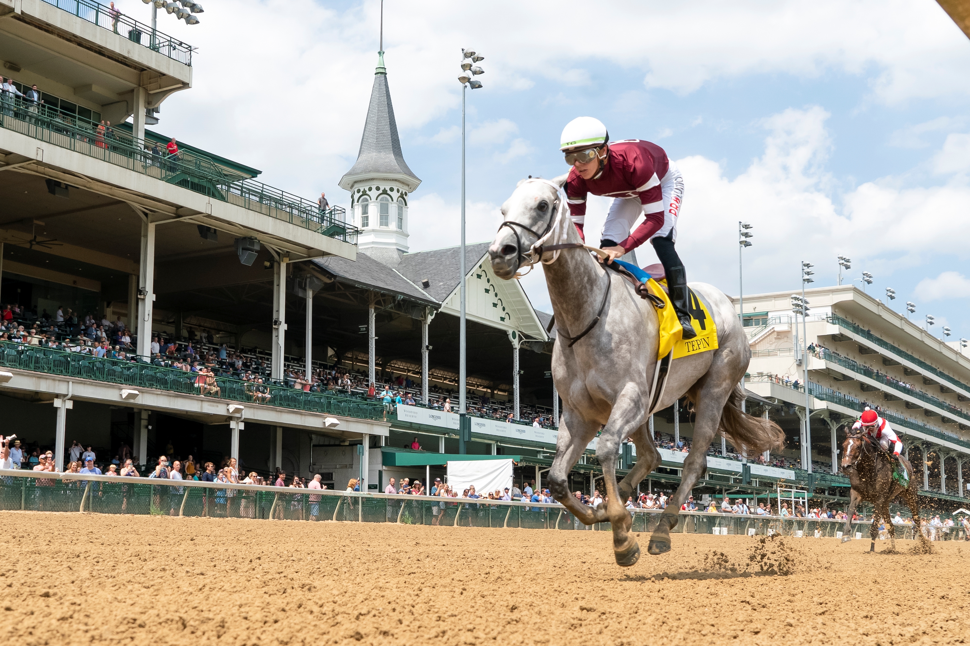 Wicked Halo - Horse Profile - BloodHorse