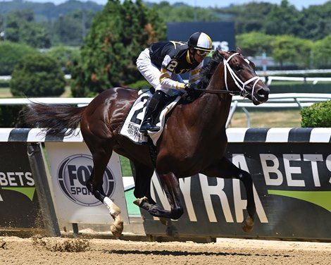 Half Brother to Nest Wins on Debut at Belmont