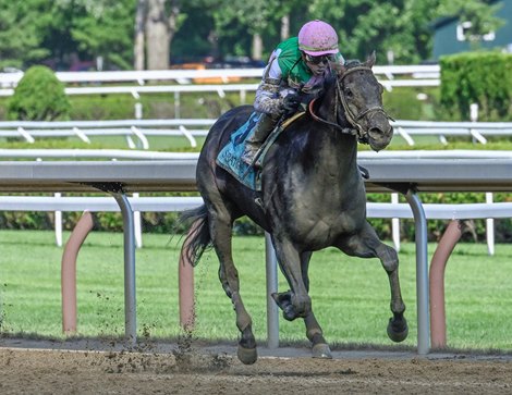 2023 Curlin Stakes Preview & FREE Picks  Blazing Sevens Looms Large At  Saratoga - Racing Dudes