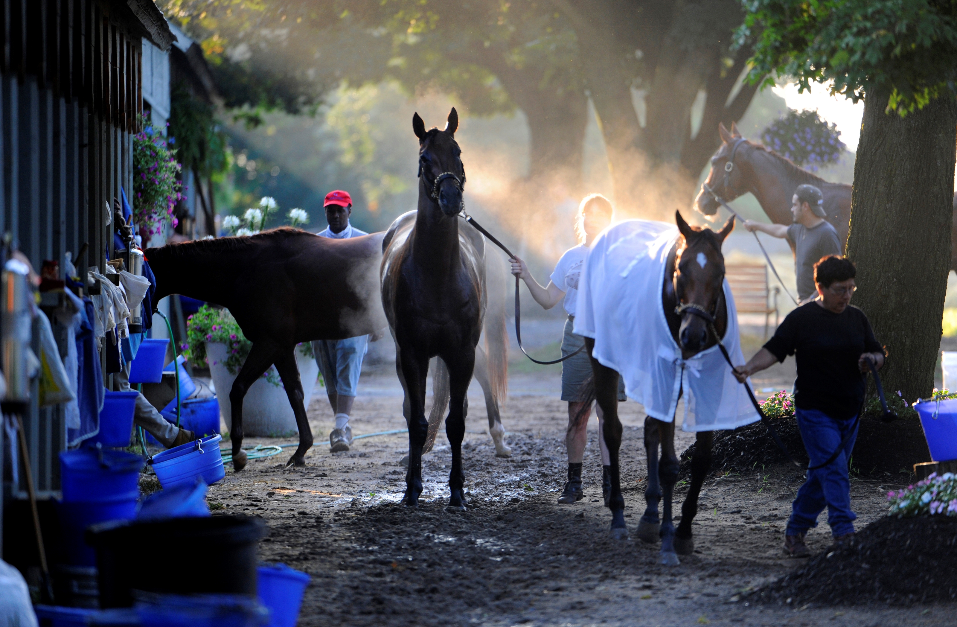 NYRA Cares Announces New Saratoga Backstretch Clinic - BloodHorse