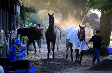 The backstretch of Saratoga's Oklahoma training track