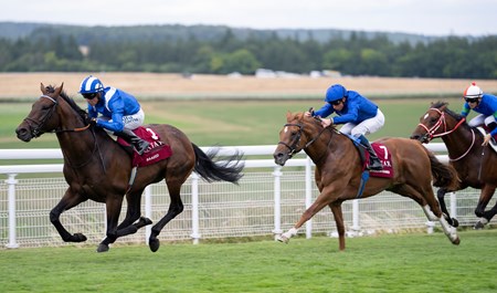 Baaeed (GB) - Horse Profile - BloodHorse