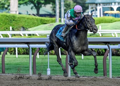 Artorius - Horse Profile - BloodHorse