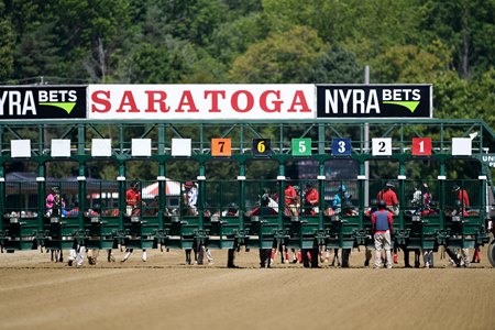 The Heat is on at Saratoga Race Course - TrueNicks.com