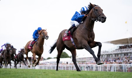 Baaeed (GB) - Horse Profile - BloodHorse