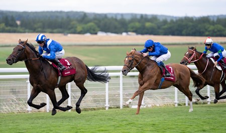 Baaeed (GB) - Horse Profile - BloodHorse