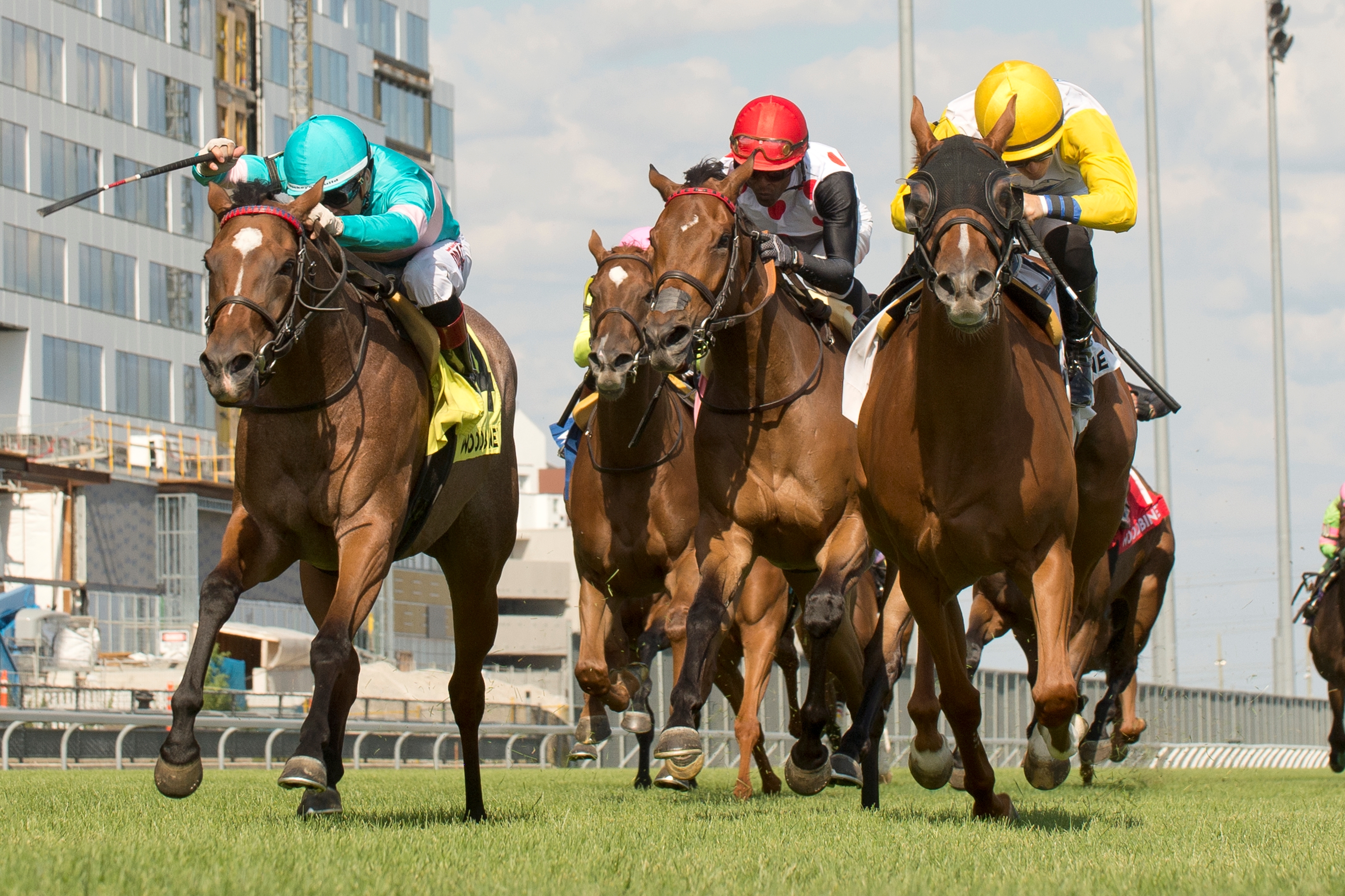 Crystal Cliffs (FR) - Horse Profile - BloodHorse