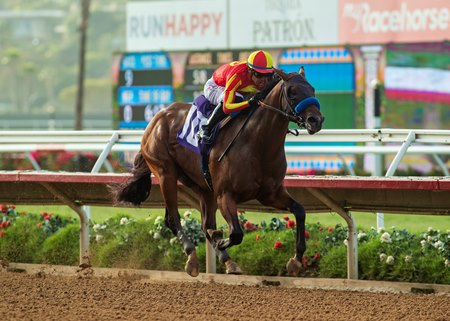 Havnameltdown wins the Best Pal Stakes at Del Mar