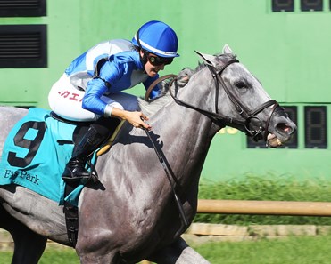 Gray's Fable - Horse Profile - BloodHorse