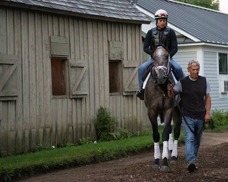 Charge It heads out for morning training Aug. 3 at Saratoga Race Course