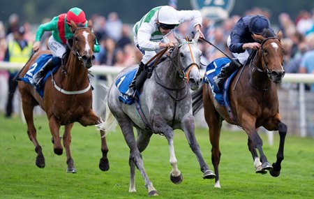Alpinista (gray) defeats Tuesday in the Yorkshire Oaks at York Racecourse