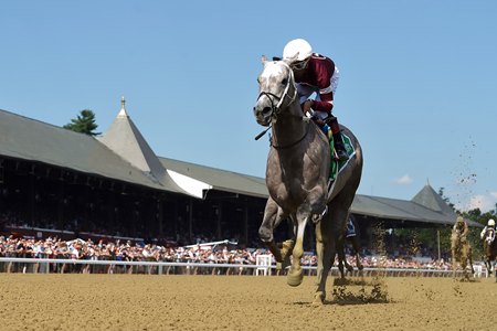 Echo Again wins on debut at Saratoga Race Course
