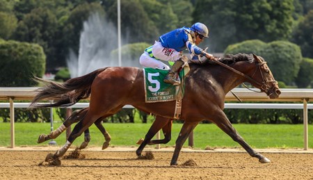 Cody's Wish - Horse Profile - BloodHorse