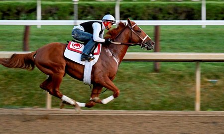 Rich Strike trains this summer at Saratoga Race Course