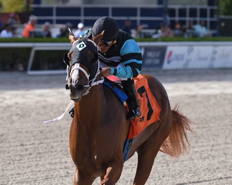 Awesome Strong, Lynx Seek Continued Gulfstream Success - BloodHorse