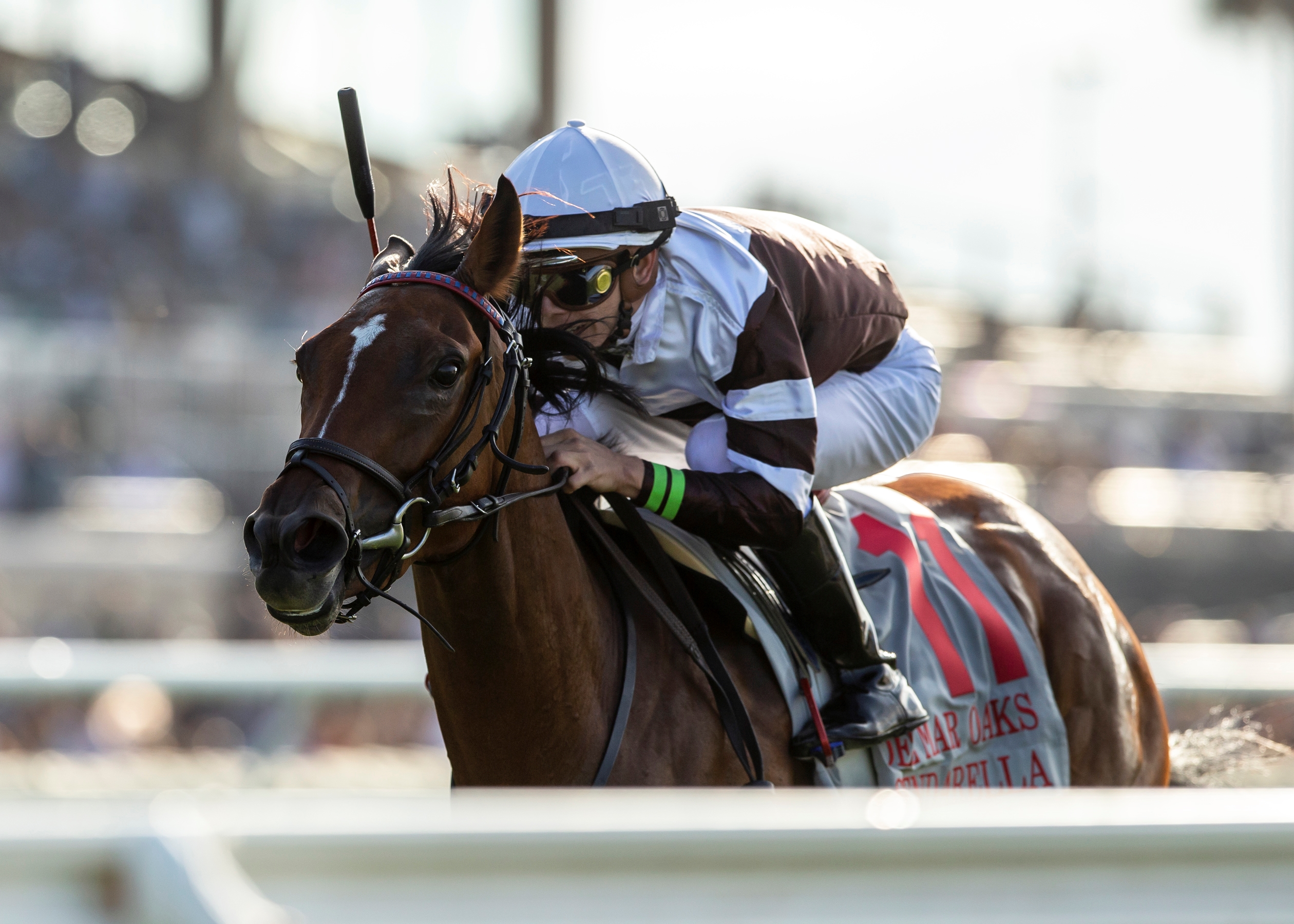 Spendarella Aims for More Magic in Distaff Turf Mile BloodHorse