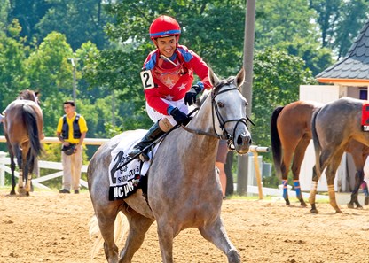 Music Amore - Horse Profile - BloodHorse