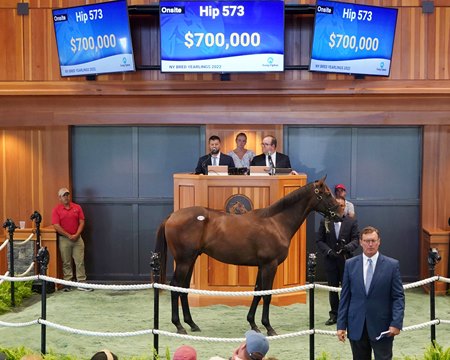 The Arrogate colt consigned as Hip 573 in the ring at the F-T New York-Bred Yearlings Sale