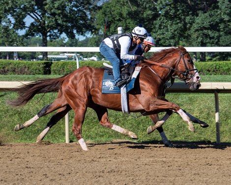 Jack Christopher Leads the Class in Saratoga's Jerkens - BloodHorse