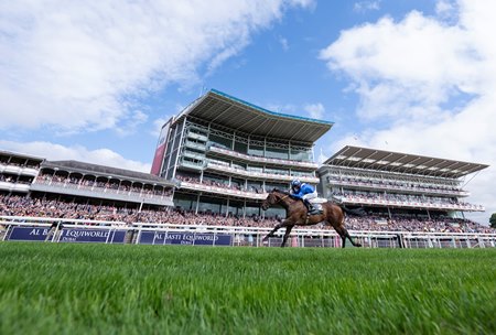 Baaeed rolls in the Juddmonte International Stakes at York 