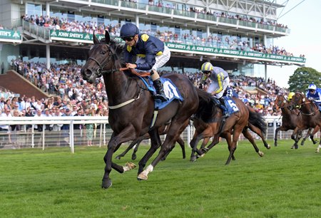 Royal Aclaim wins the John Smiths City Walls Stakes at York Racecourse