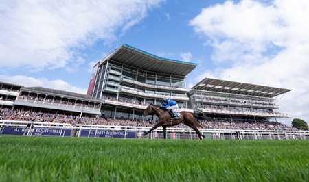 Baaeed (GB) - Horse Profile - BloodHorse