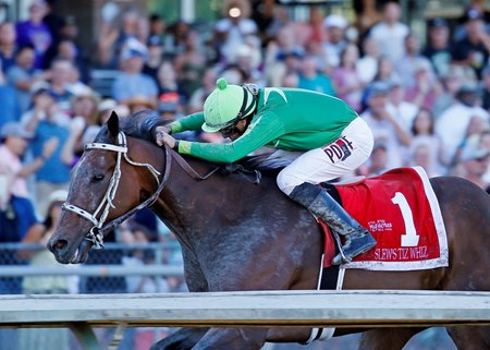Slew's Tiz Whiz wins the Longacres Mile Stakes at Emerald Downs 