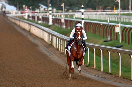 Rich Strike works at Saratoga Race Course