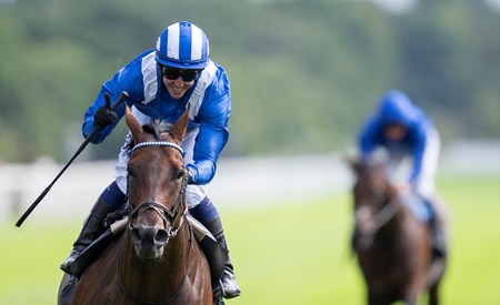 Baaeed (GB) - Horse Profile - BloodHorse