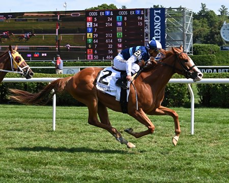 Top Envoy wins his career debut at Saratoga Race Course