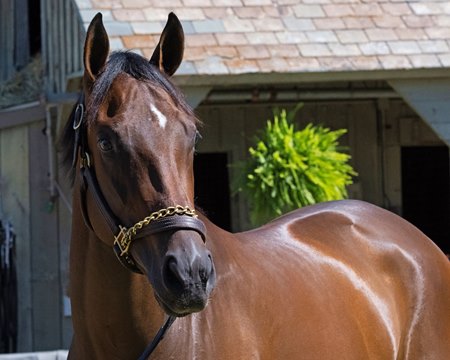 Magical Song at Saratoga Race Course