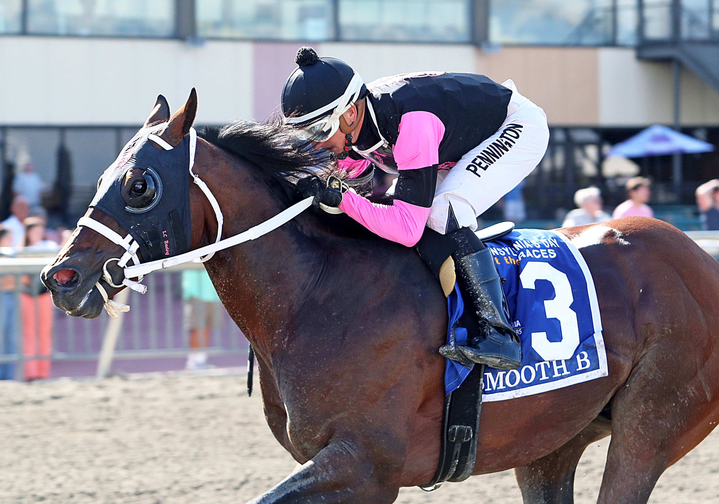 Smooth B - Horse Profile - BloodHorse