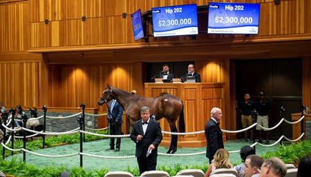 Sierra Leone sells for $2.3 million at the 2022 The Saratoga Sale at Fasig-Tipton