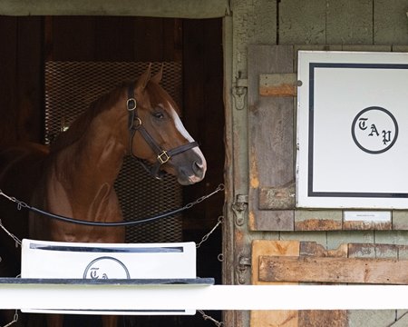 Americanrevolution during his racing days in 2022