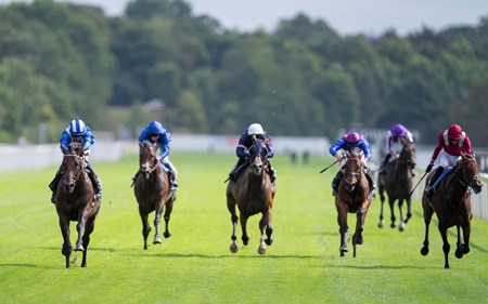 Baaeed (GB) - Horse Profile - BloodHorse