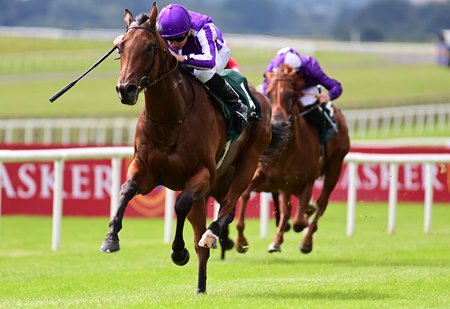 Little Big Bear wins the Phoenix Stakes at the Curragh