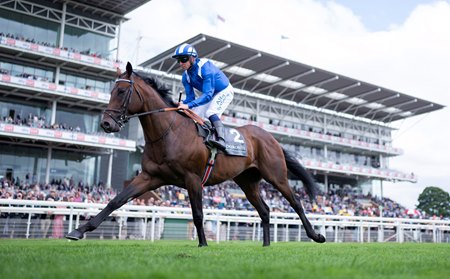 Baaeed wins the Juddmonte International at York Racecourse
