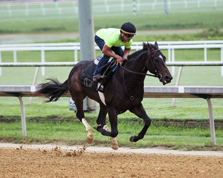 Damon's Mound trains Aug. 6 at Colonial Downs