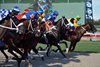 2022 Gulfstream Park Scene